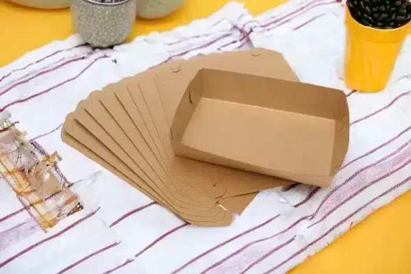 Kraft Trays Boxes